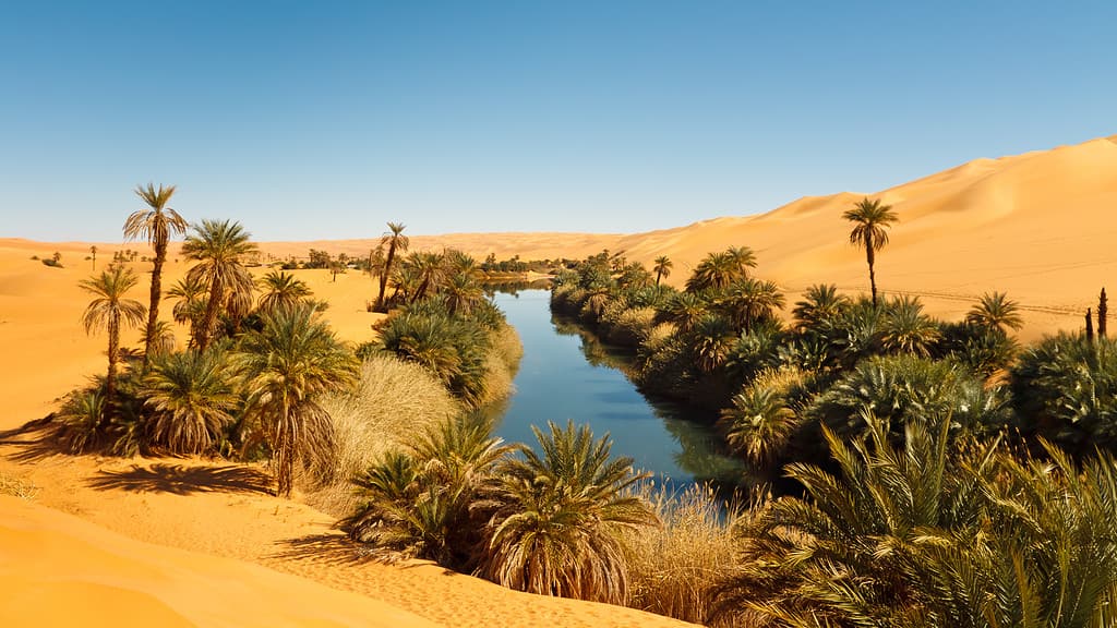 Un'oasi nel deserto del Sahara, in Libia