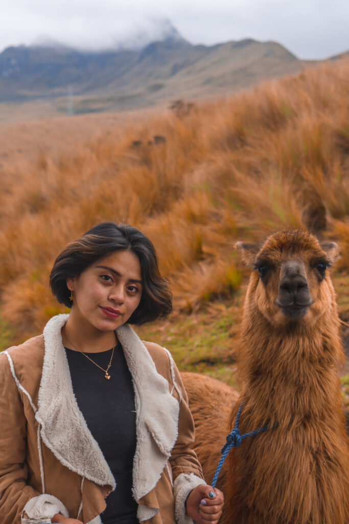 Giovane femmina con un simpatico lama in montagna