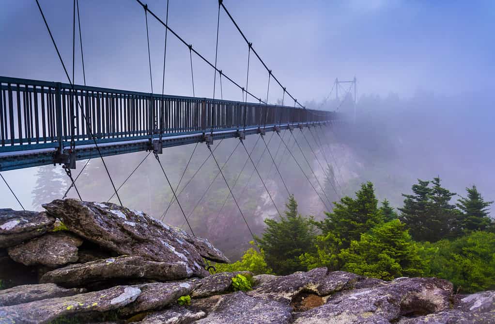 Il ponte oscillante Mile-High nella nebbia, a Grandfather Mountain, Carolina del Nord.