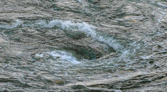 Un piccolo ma turbolento vortice si è formato nel punto in cui un fiume incontra un porto.  Molti spruzzi e schiuma nell'acqua colorata di verde scuro.