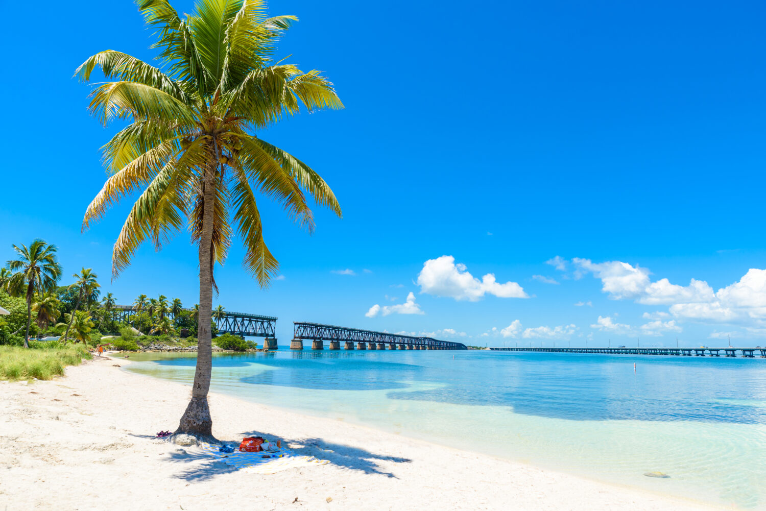 Bahia Honda State Park - Calusa Beach, Florida Keys - costa tropicale con spiagge paradisiache - Stati Uniti