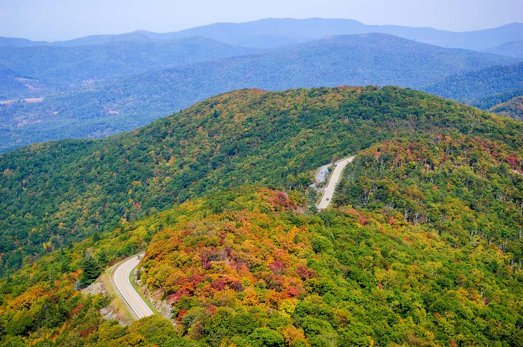 Belvedere autunnale al Parco Nazionale di Shenandoah