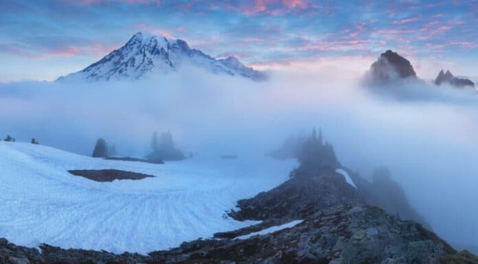 monte Rainier