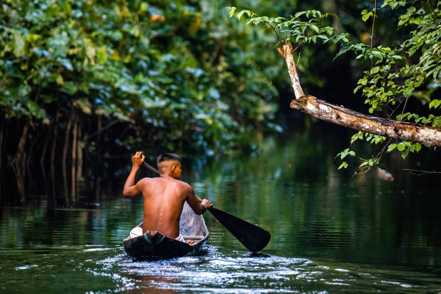 Uomo tribale nativo che nuota nella foresta pluviale amazzonica in barca fatta a mano