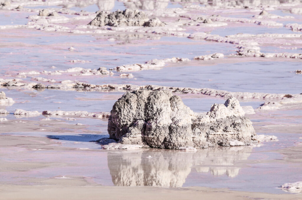 Il Salton Sea della California è più salato dell'Oceano Pacifico.