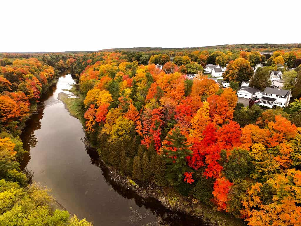Fogliame autunnale sul fiume Meduxnekeag a Houlton, Maine