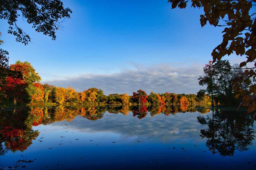 Il bellissimo paesaggio autunnale con fogliame colorato Salem, Connecticut