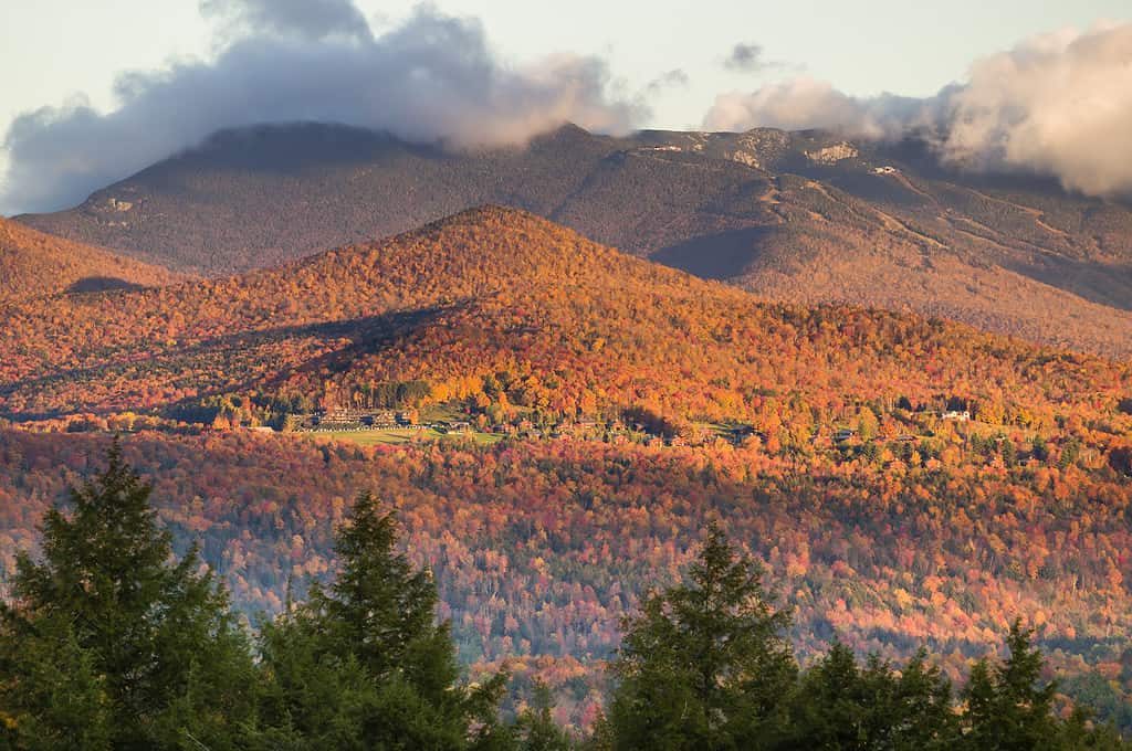 Fogliame autunnale sul Monte Mansfield a Stowe, Vermont, USA
