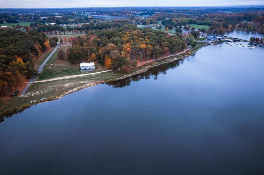 Alba aerea del fogliame del drone a Mercer nel New Jersey