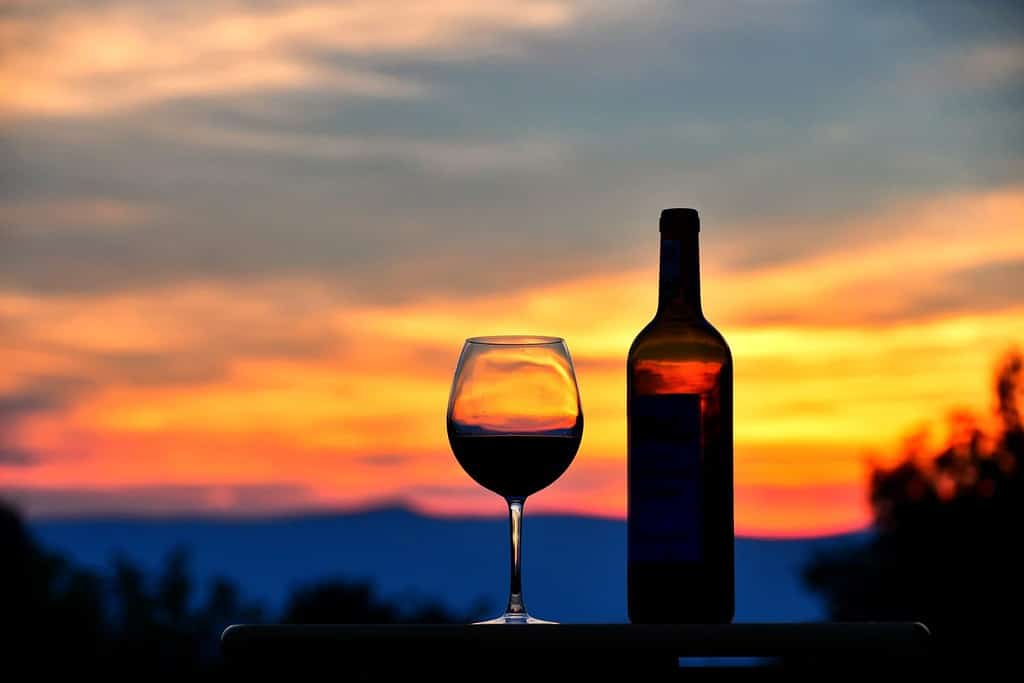 Silhouette di un bicchiere di vino rosso e bottiglia di vino al tramonto con le montagne della Virginia sullo sfondo.