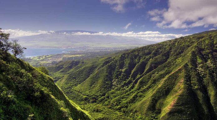 Waihee Ridge Trail e vista di Kahului e Haleakala, Hawaii