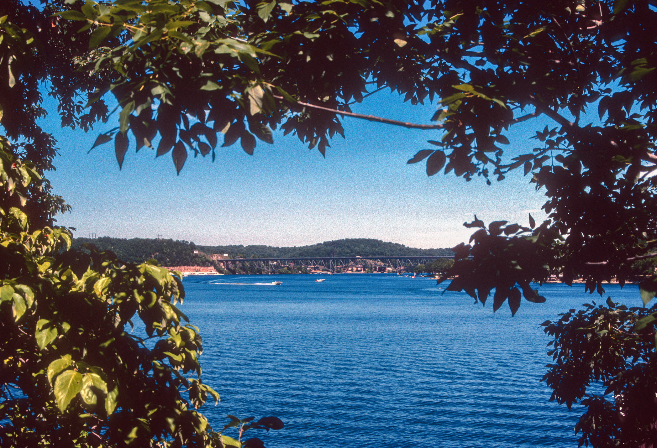 Il lago degli Ozarks - Il lago visto attraverso gli alberi 1987
