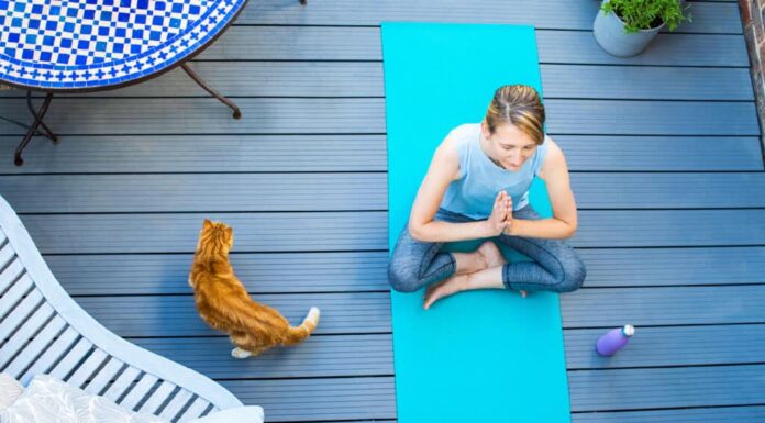 Yoga, Veduta dall'alto, Donne mature, Ponte, Esercizio