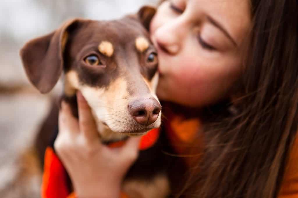 Una bella ragazza adolescente con una giacca arancione gioca e abbraccia un cane bassotto