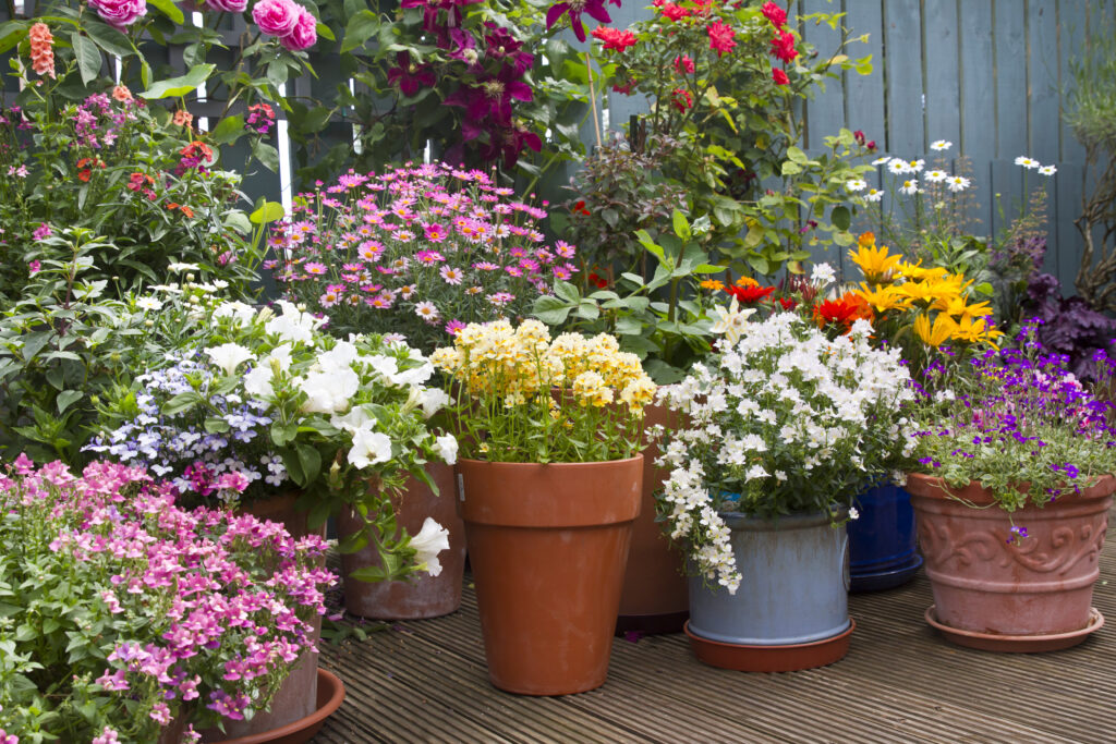 Esposizione estiva di contenitori per fiori nel patio, idee per il giardinaggio in contenitori