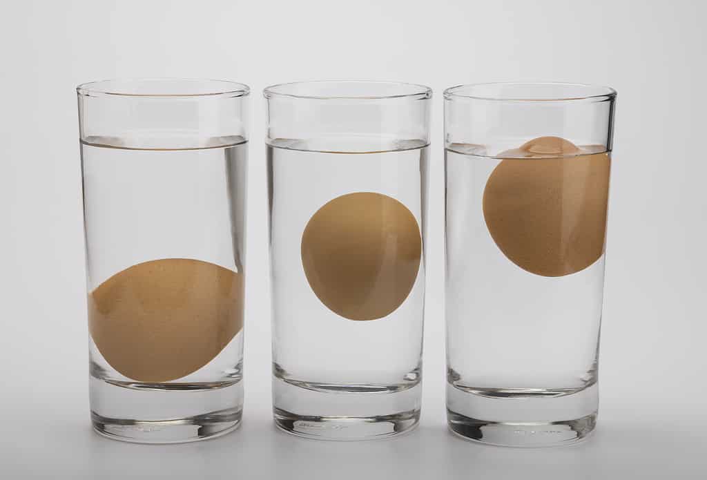 Test delle uova in acqua su vetro trasparente, Test della freschezza delle uova su sfondo bianco, L'uovo cattivo galleggia nell'acqua