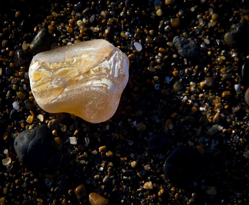 Agata da spiaggia in situ.