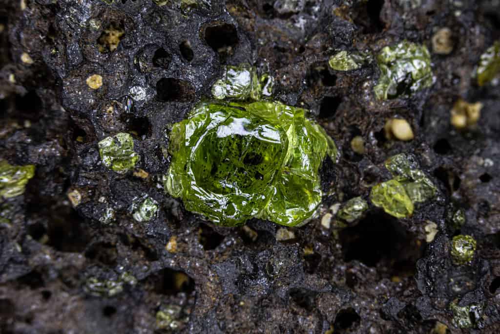 Chiusura di pietra preziosa Peridoto grezza, attaccata alla roccia ospite vulcanica originale.  Esemplari più piccoli circostanti.  Dalle Hawaii.