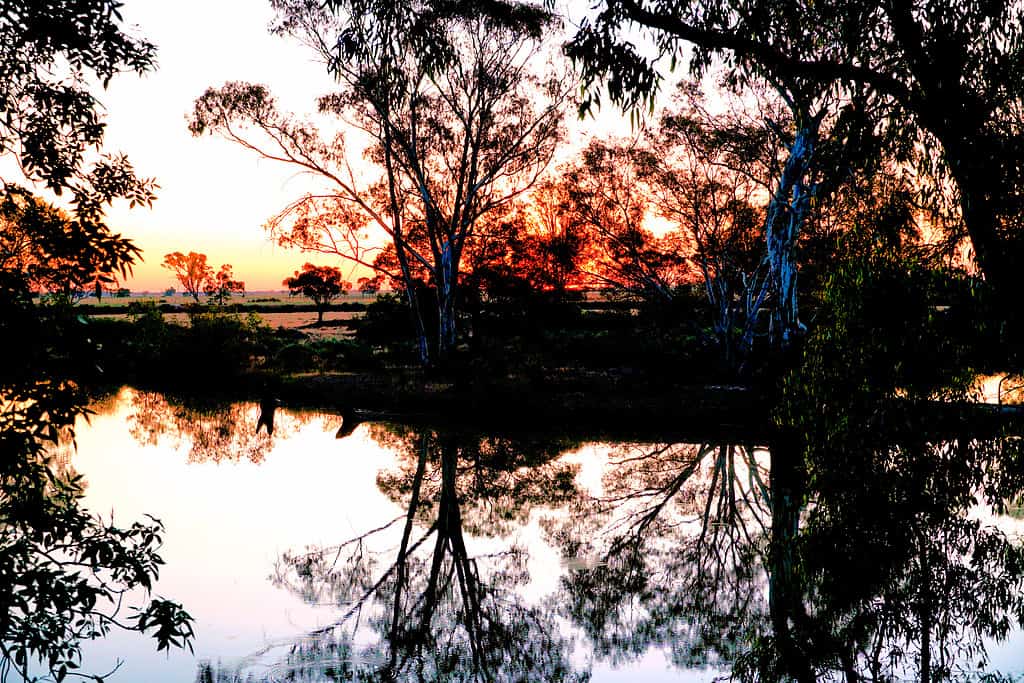 Kerang, Victoria, Australia