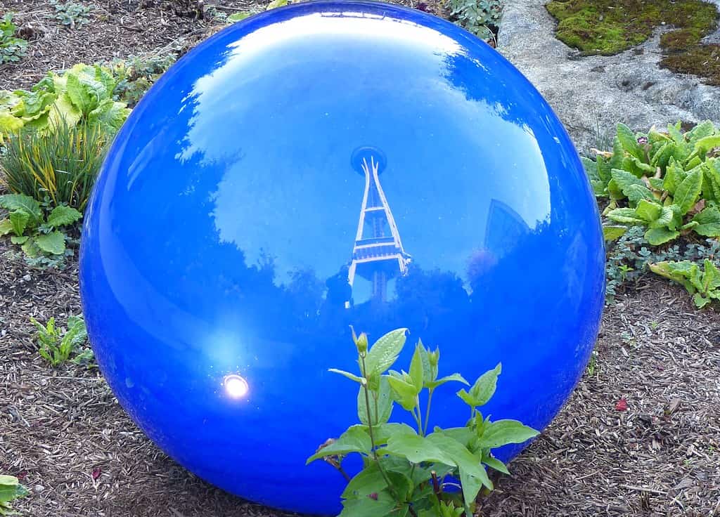 Space_Needle_reflection_from_Chihuly_Gardens