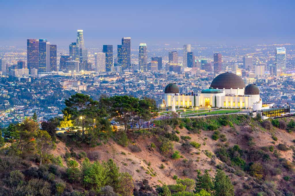 Los Angeles, California, Stati Uniti d'America skyline del centro da Griffith Park.