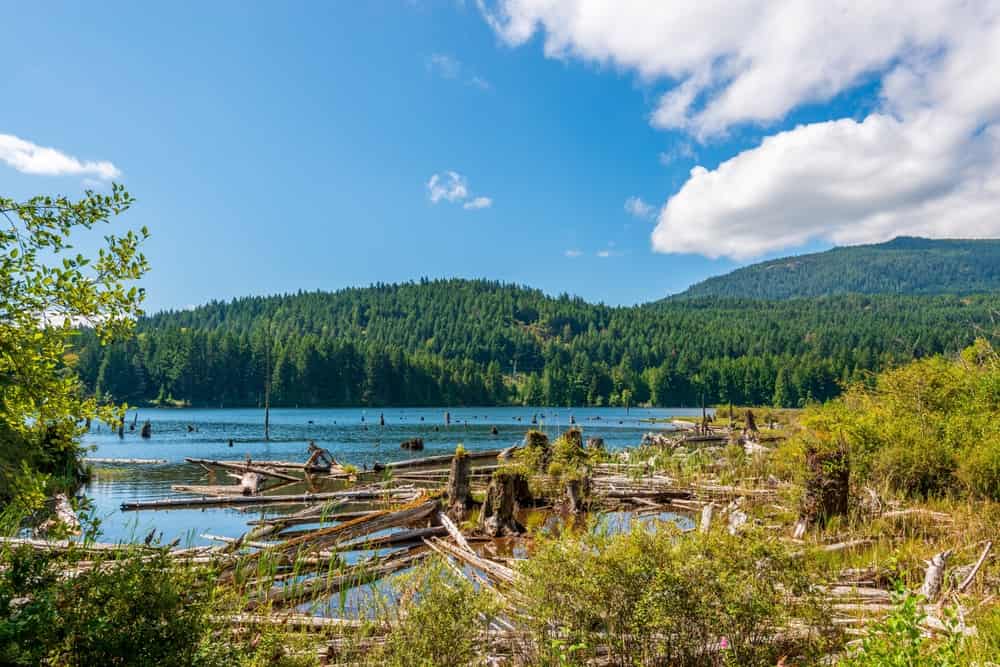 Bellissimo lago Cowichan in Canada.