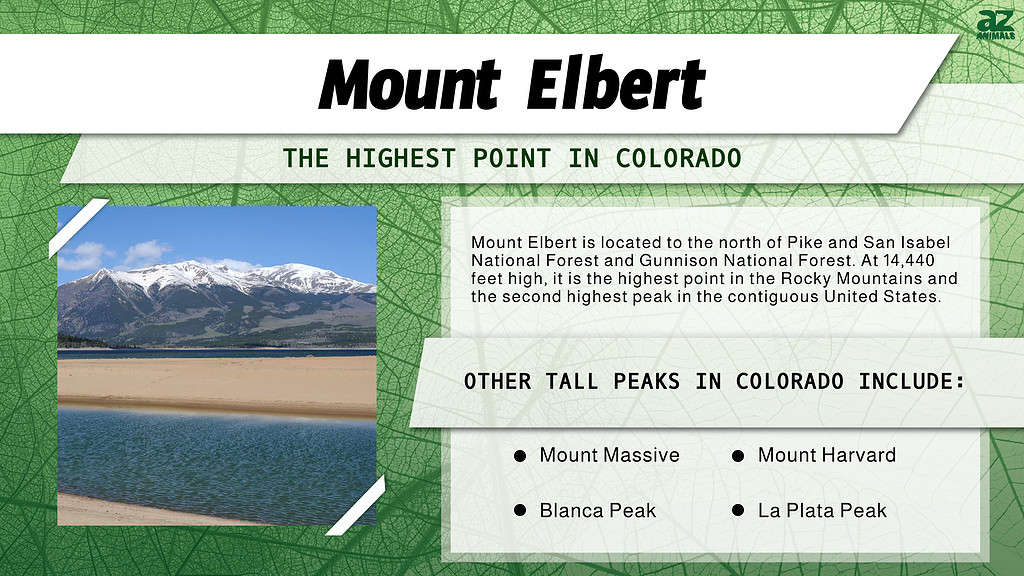 Infografica del Monte Elbert