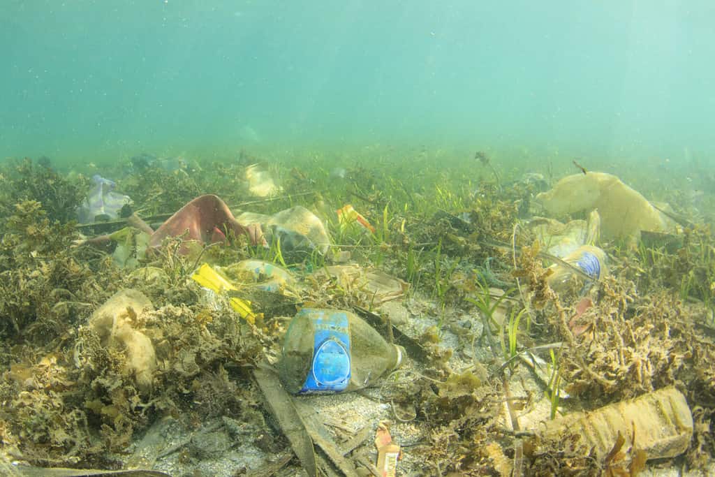 Inquinamento di sacchetti di rifiuti di plastica e bottiglie nell'oceano