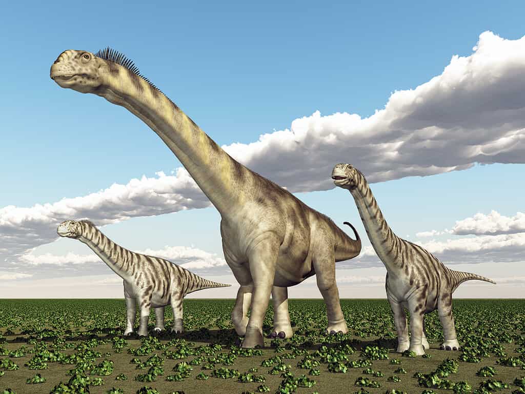 Dinosauro Camarasauro