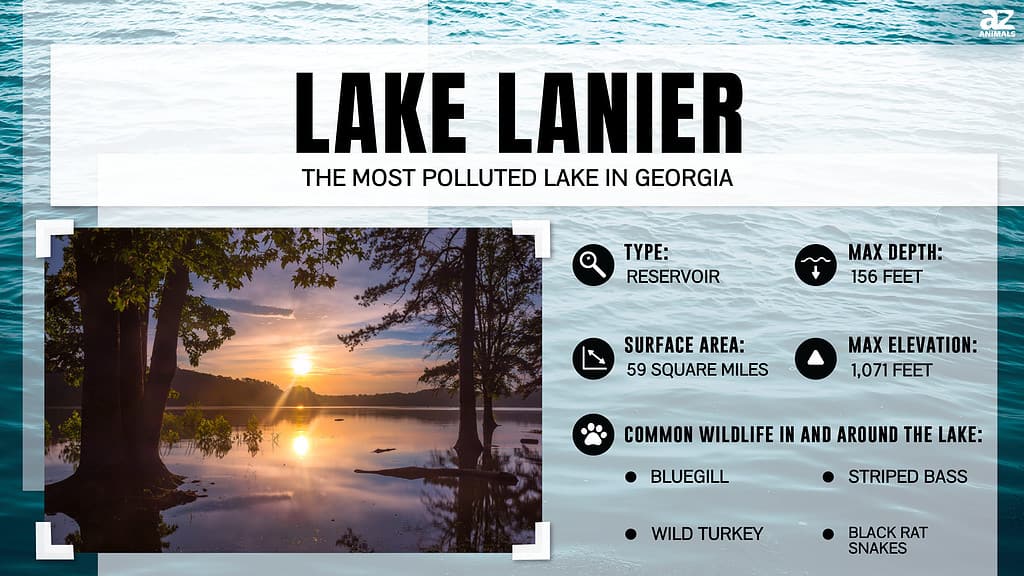 Il lago Lanier è il lago più inquinato della Georgia