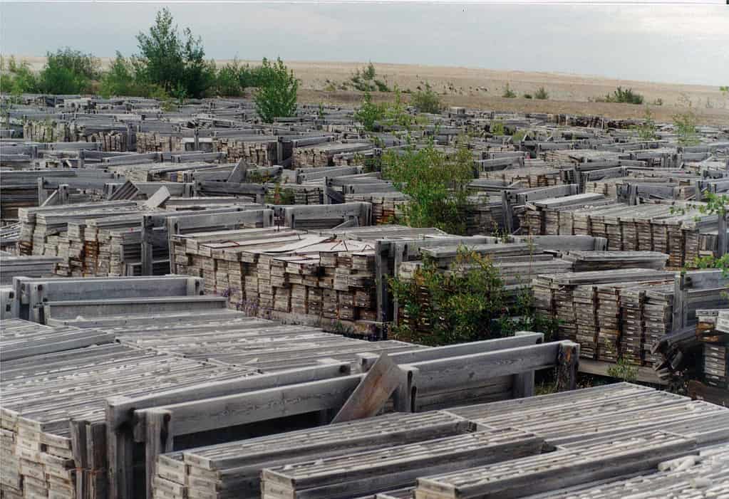 Pine Point, cittadina abbandonata e dissolta del Canada