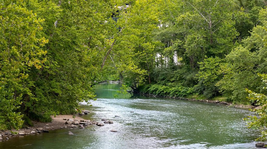 Lussureggianti alberi verdi lungo la riva del fiume Cuyahoga nel parco nazionale della Cuyahoga Valley, Ohio