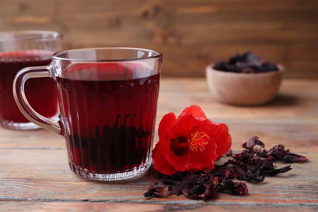 Tè rosso all'ibisco