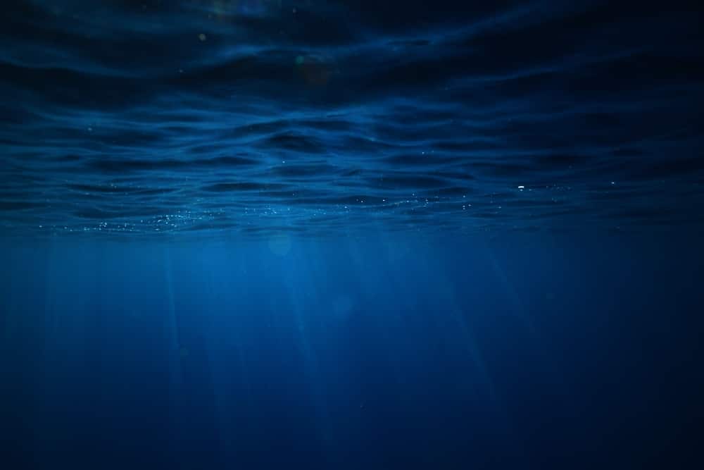 raggi subacquei dell'oceano di sfondo chiaro, sotto la luce del sole dell'acqua blu