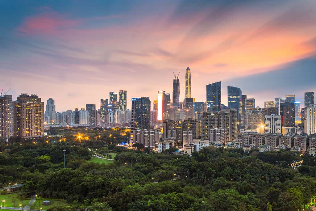 Orizzonte di paesaggio della città del centro urbano di Shenzhen