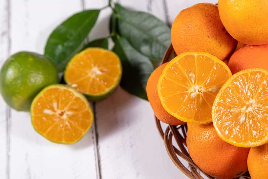 Rangpur, Citrus × limonia o Citrus reticulata × medica, a volte chiamato rangpur lime, mandarin lime o lemandarin, è un ibrido tra il mandarino e il cedro.  Messa a fuoco selettiva