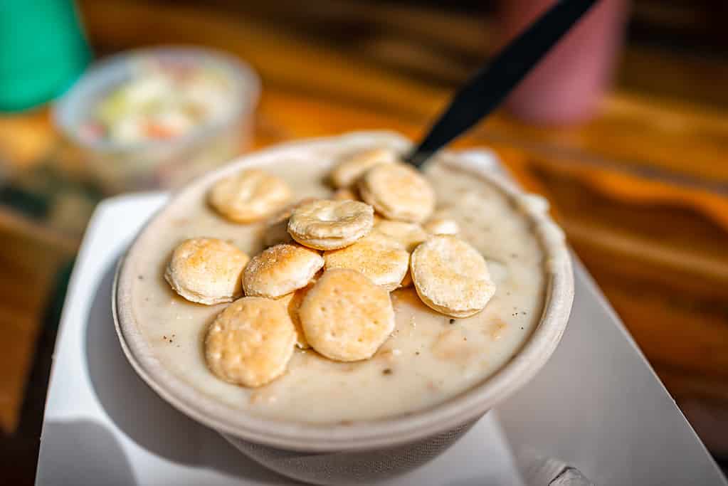 Zuppa di vongole grossa e cremosa con frutti di mare presso il ristorante Shack che serve come piatto tradizionale del New England con cracker di ostriche e insalata di cavolo
