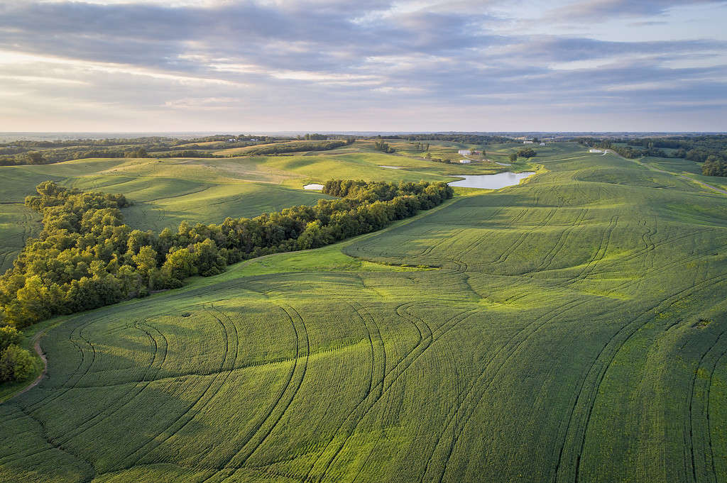 Vista aerea dei campi di soia verde in una valle del fiume Missouri, vicino a Glasgow, MO, fine estate