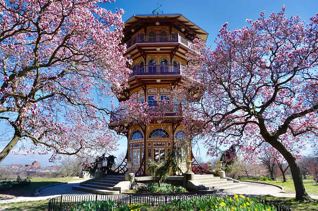 Pagoda del Parco Patterson di Baltimora