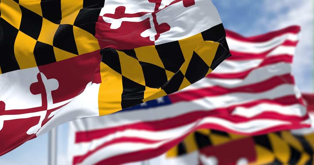 La bandiera dello stato del Maryland sventola insieme alla bandiera nazionale degli Stati Uniti d'America.  Sullo sfondo c'è un cielo limpido.  Il Maryland è uno stato nella regione del Medio Atlantico degli Stati Uniti