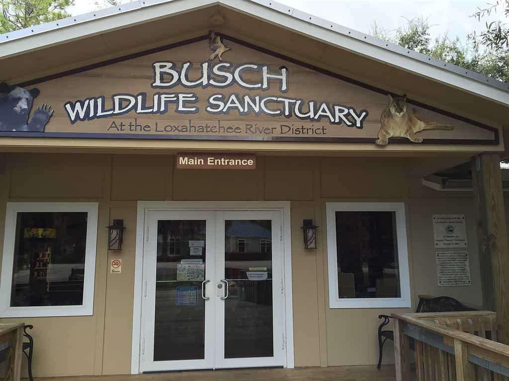 L'ingresso al Busch Wildlife Sanctuary, uno spazio di conservazione degli animali in Florida.