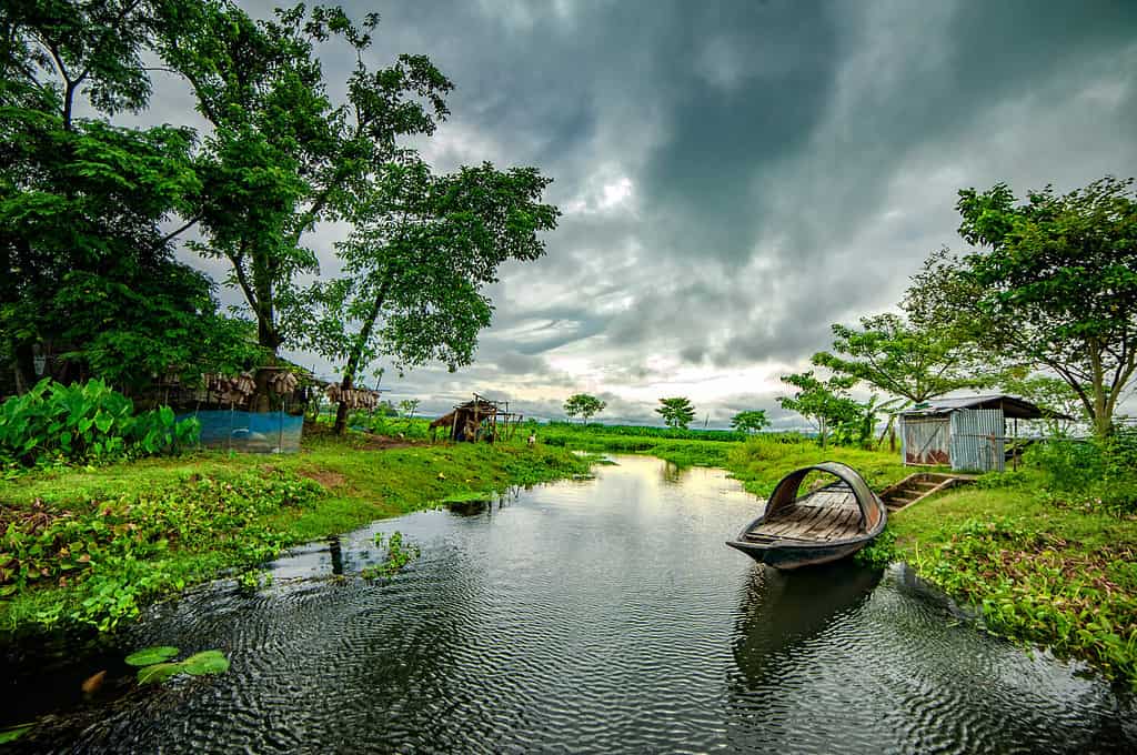 Barche di campagna in una giornata nuvolosa in Bangladesh