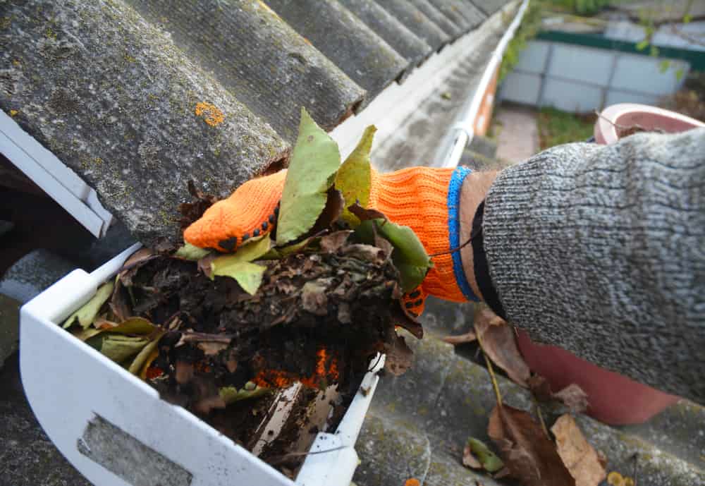 Un uomo sta ripulendo una grondaia intasata da sporco, detriti e foglie cadute per prevenire danni causati dall'acqua e consentire il corretto drenaggio dell'acqua piovana. 