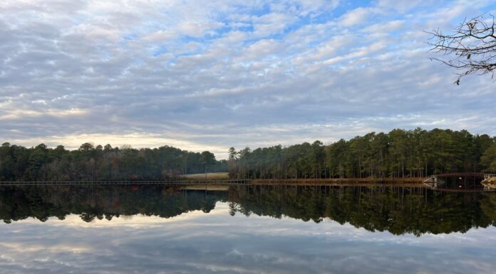 Tramonto al Lago Juniper, Cheraw State Park, Carolina del Sud, Stati Uniti	