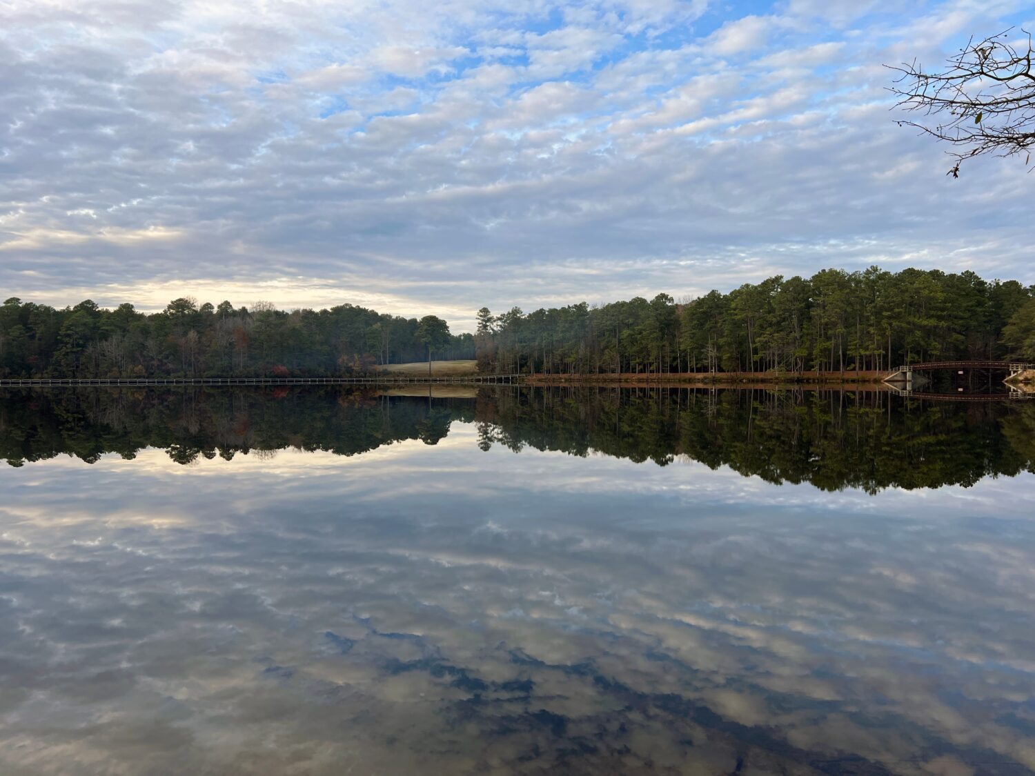 Tramonto al Lago Juniper, Cheraw State Park, Carolina del Sud, Stati Uniti	
