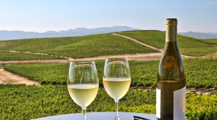 due bicchieri di vino bianco con vista sulla Napa Valley