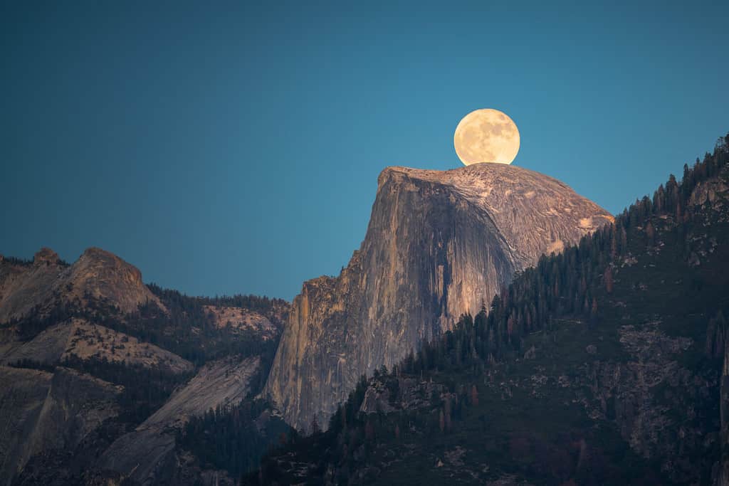 Il 14 novembre 2016, Supermoon, una luna di grandi dimensioni, sorge sopra l'Half Dome nel Parco Nazionale di Yosemite