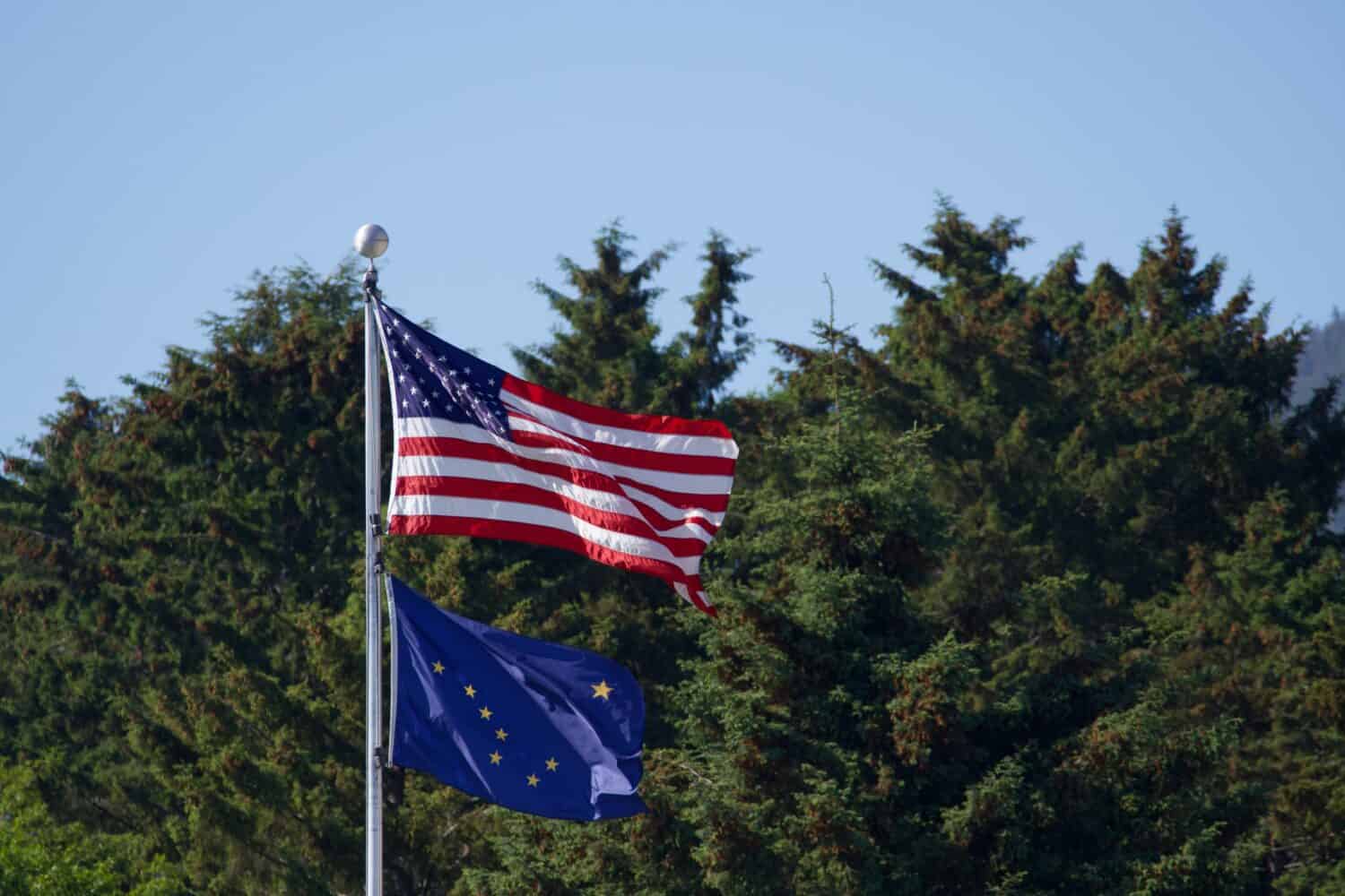 una bandiera americana sventola sopra la bandiera dello stato dell'Alaska in una giornata di sole con alberi sempreverdi sullo sfondo