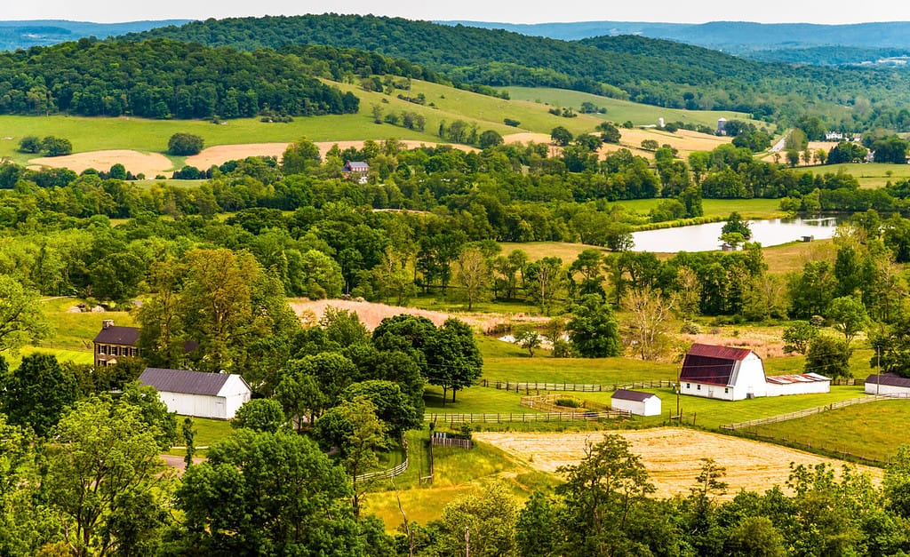 Vista delle colline e dei terreni agricoli del Piemonte della Virginia, visti dallo Sky Meadows State Park.