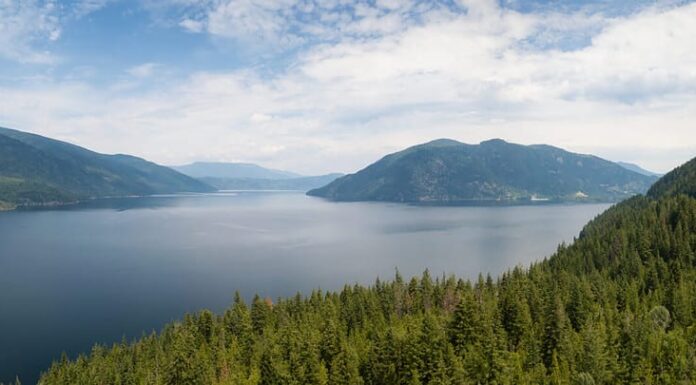 Vista aerea del bellissimo paesaggio canadese durante una vivace giornata estiva soleggiata.  Preso vicino al lago Shuswap, Sicamous, BC, Canada.